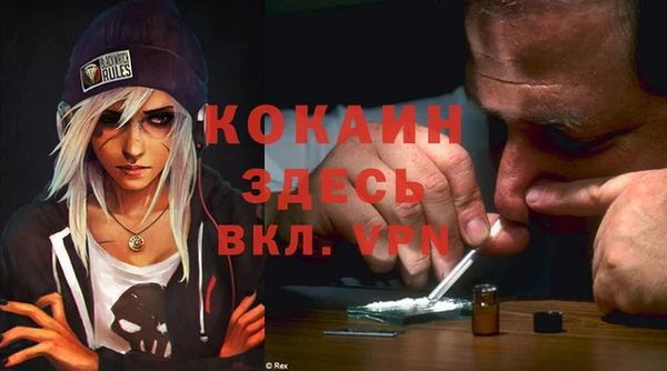 дмт Лиски