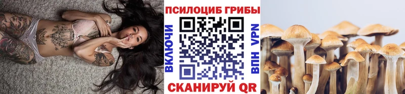 цена   Сухиничи  Галлюциногенные грибы GOLDEN TEACHER 